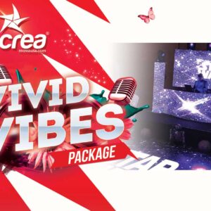 Vivid Vibes